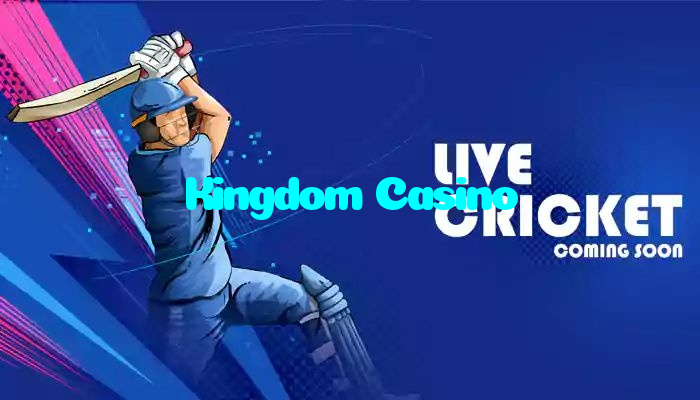 available types of Kingdom Casino bet including pre-match live express and system bets